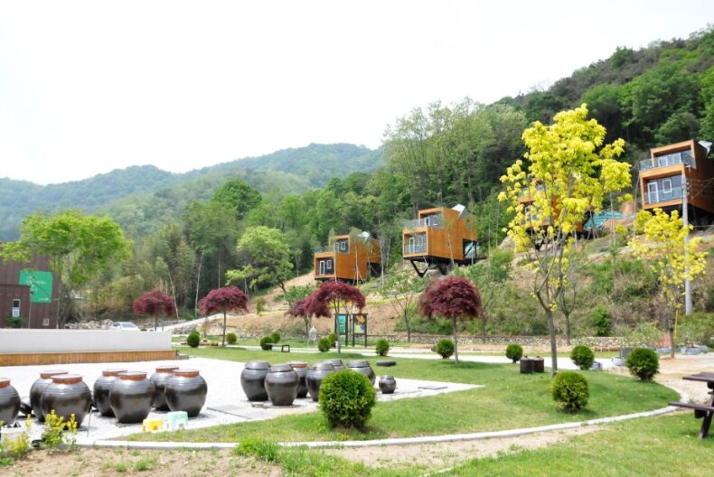 이수미팜베리 펜션 전경